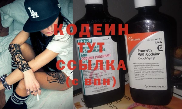 индика Белокуриха