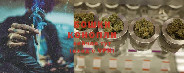 индика Белокуриха