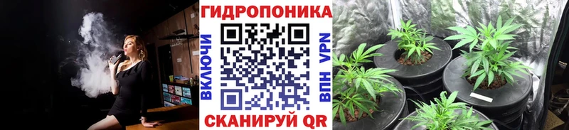 Канабис Bruce Banner  KRAKEN зеркало  Ковдор  купить закладку 